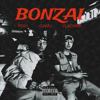 Bonzai