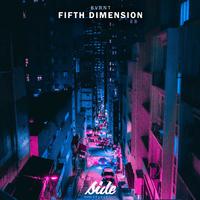 Fifth Dimension