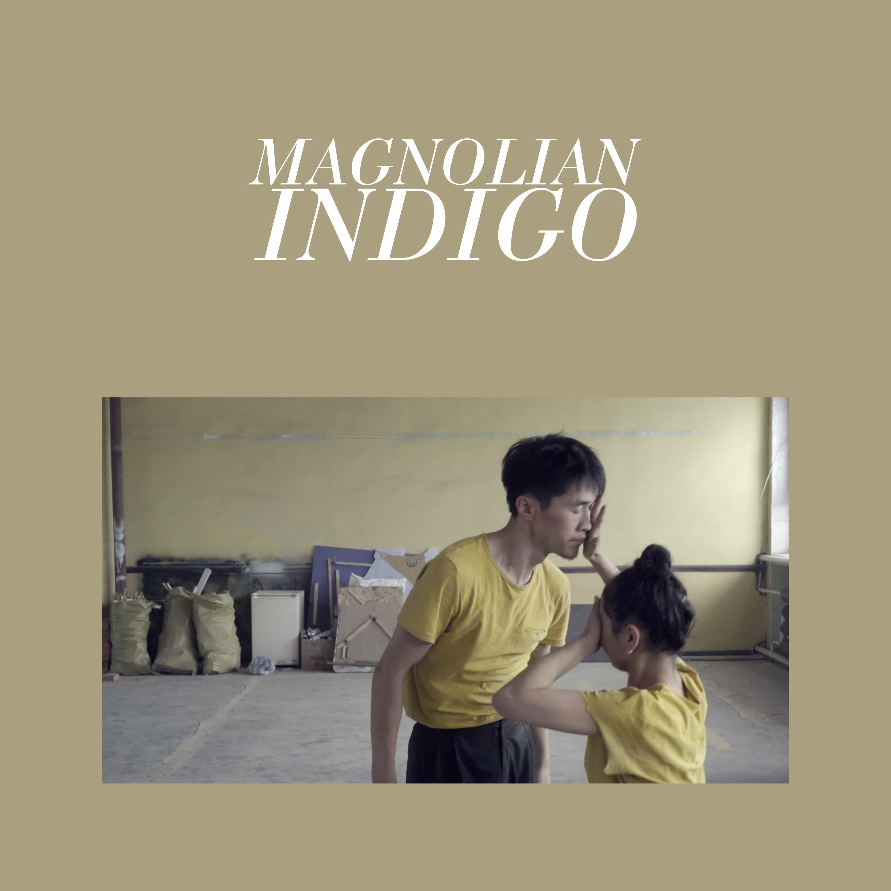 Indigo封面