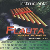 Flauta Instrumental