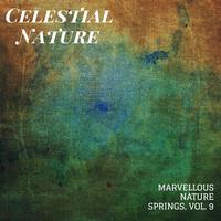 Celestial Nature - Marvellous Nature Springs, Vol. 9