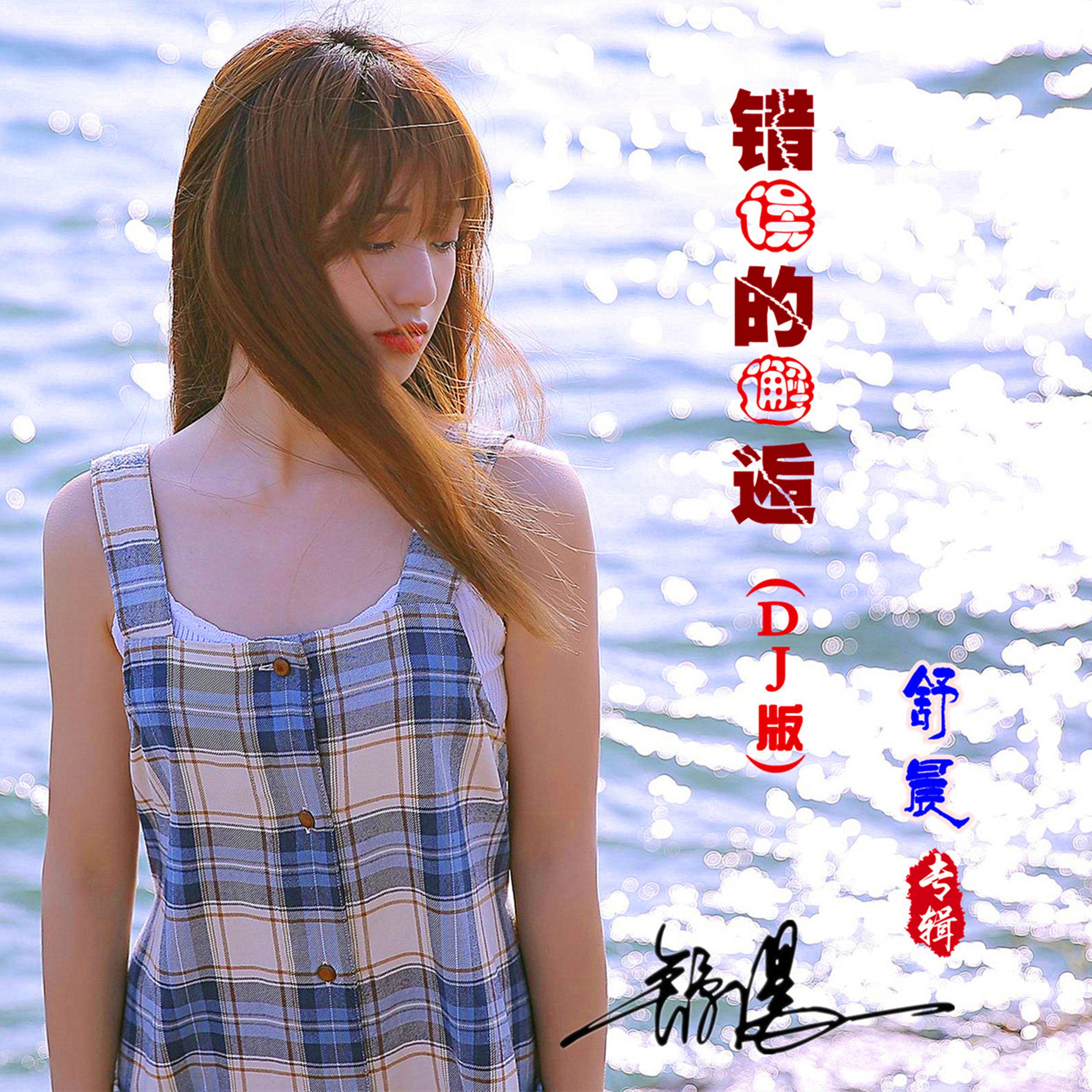 错误的邂逅(DJ版) 伴奏封面