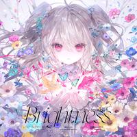 Brightness