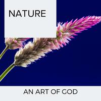 Nature - An Art of God