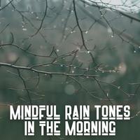 Mindful Rain Tones in the Morning