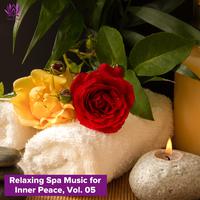 Relaxing Spa Music for Inner Peace, Vol. 05