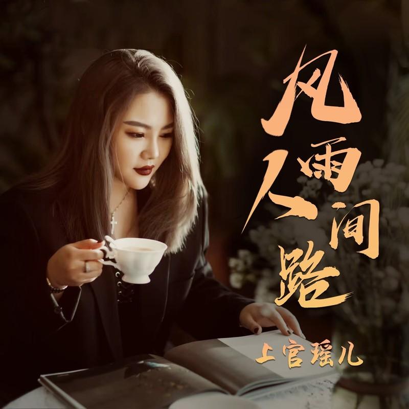 风雨人间路封面