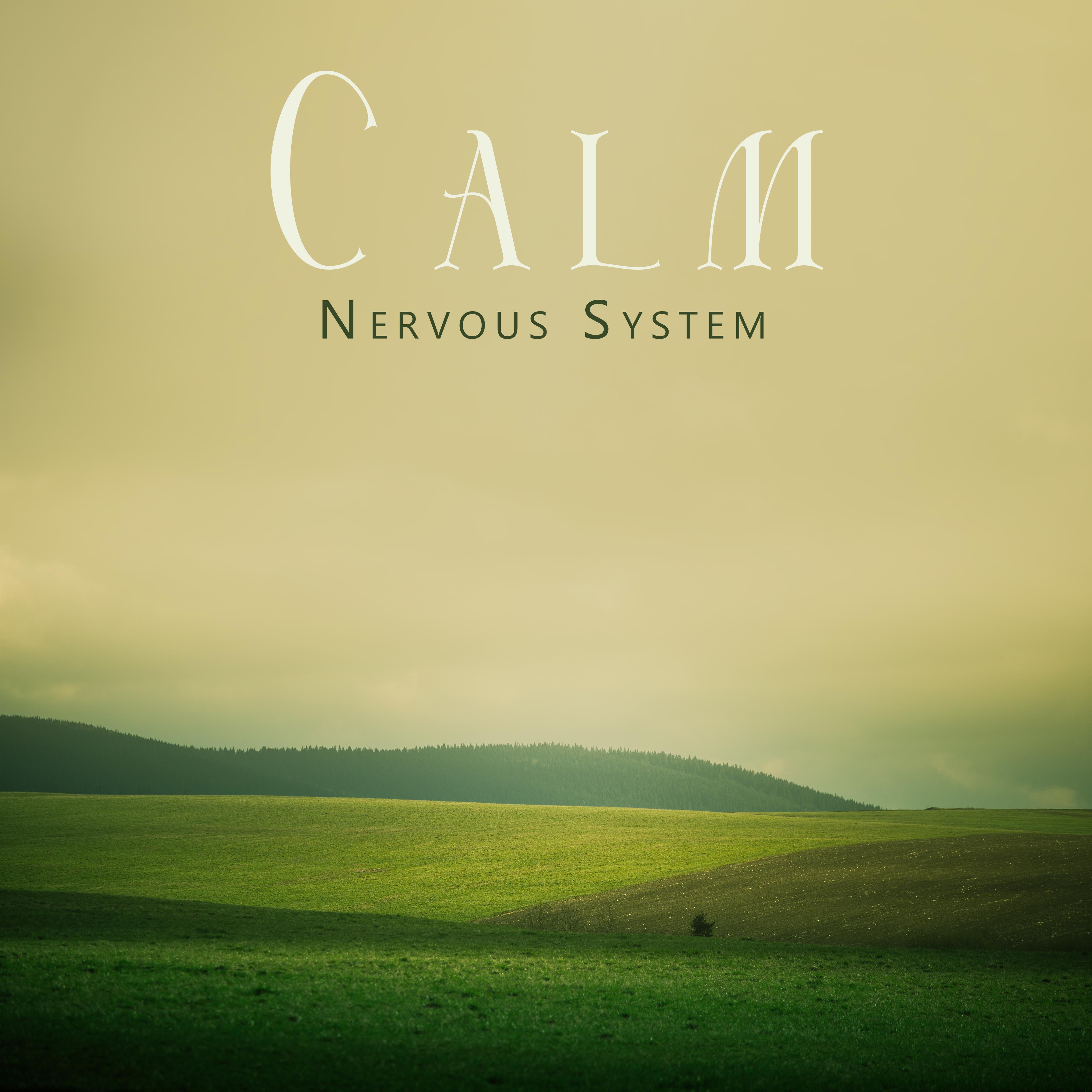 Autogenic Relaxation_Stress Relief Calm Oasis_Calm Nervous System | 在线播放_Autogenic Relaxation歌词_Autogenic Relaxation下载 | 网易云音乐