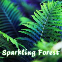 Sparkling Forest