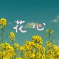 花心 (DJ版)封面