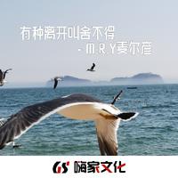 有种离开叫舍不得-抖音DJ版