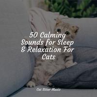 50 Calming Sounds for Sleep & Relaxation For Cats