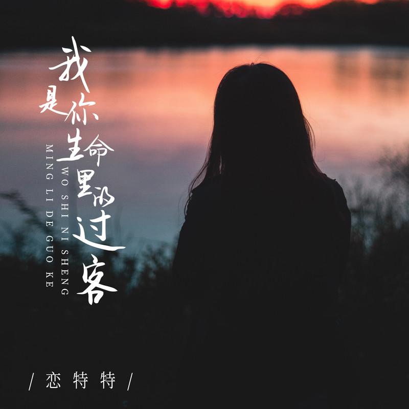 我是你生命里的过客 (Live合唱版伴奏)封面