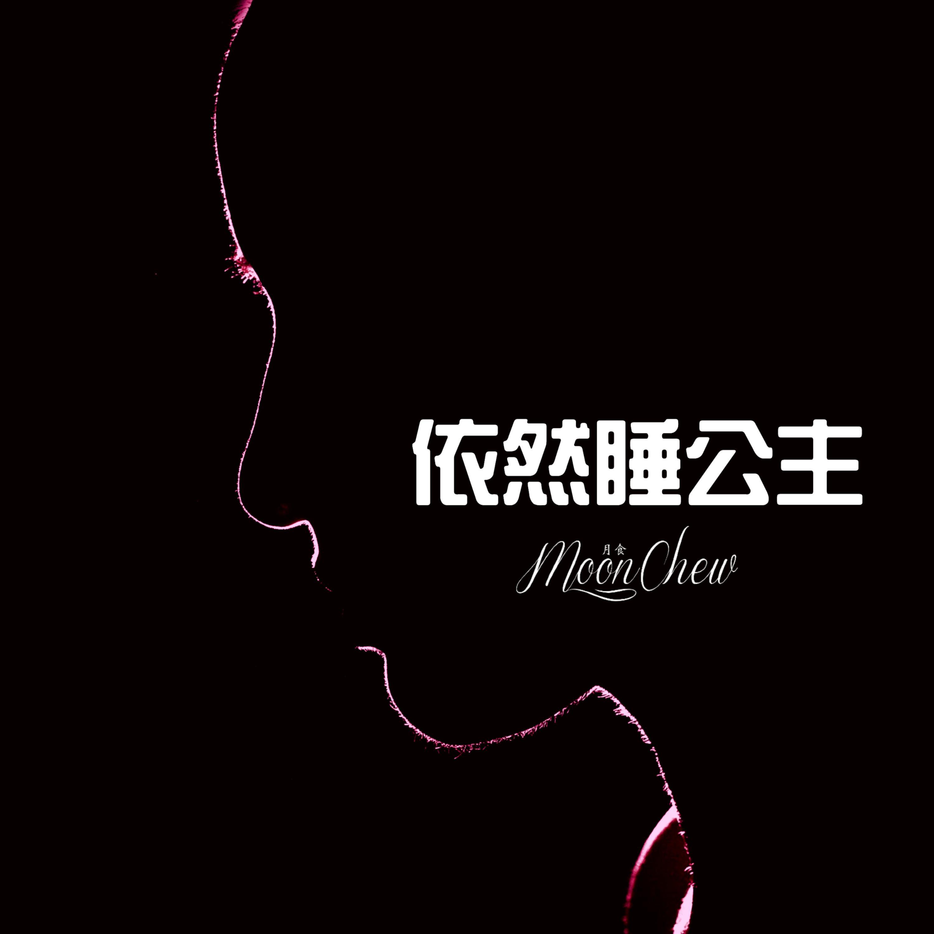 依然睡公主封面