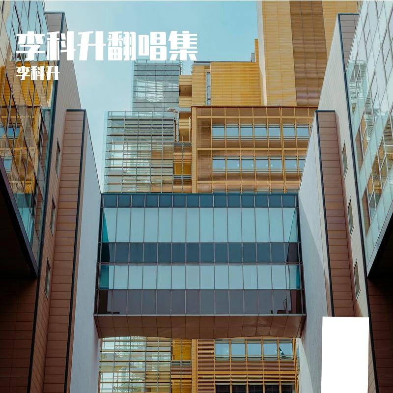 乱乱唱封面