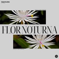 Flor Noturna