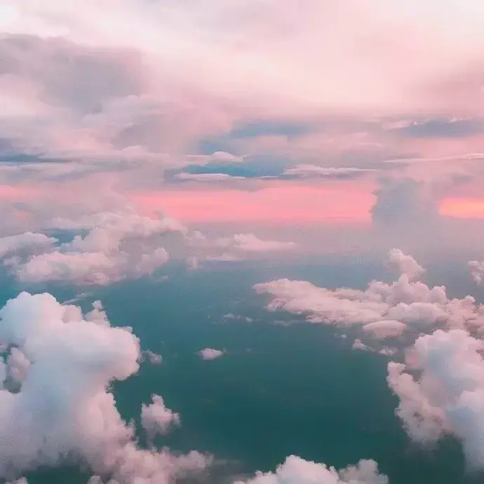 残酷月光封面