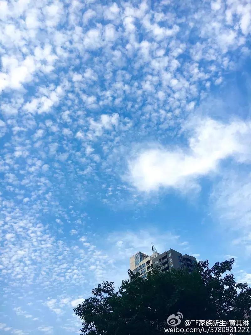 Trap「黄其淋（林墨）」