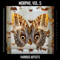 Morphe, Vol. 5 (Radio Edit)