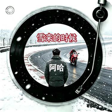 雪来的时候封面