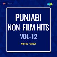 Punjabi Non - Film Hits Vol - 12