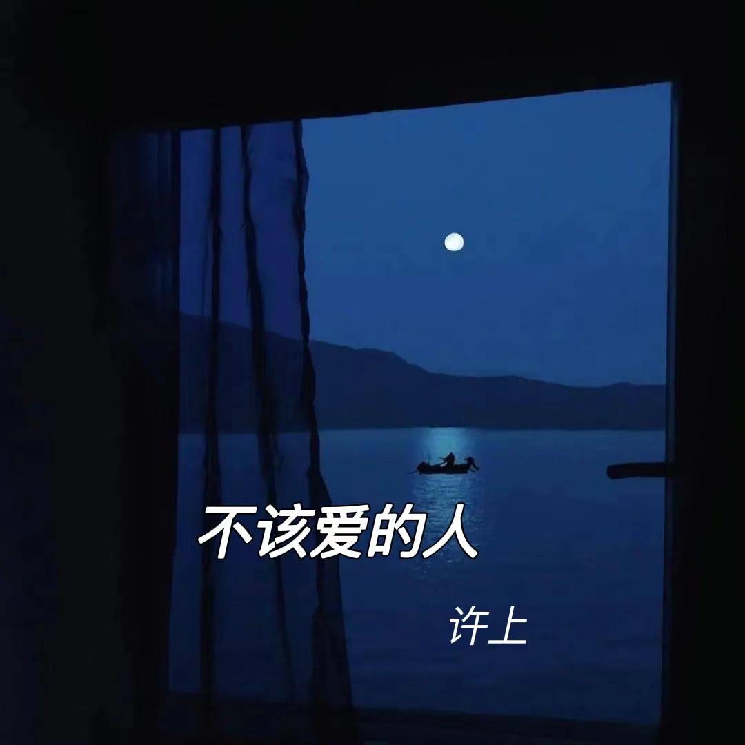 不该爱的人封面