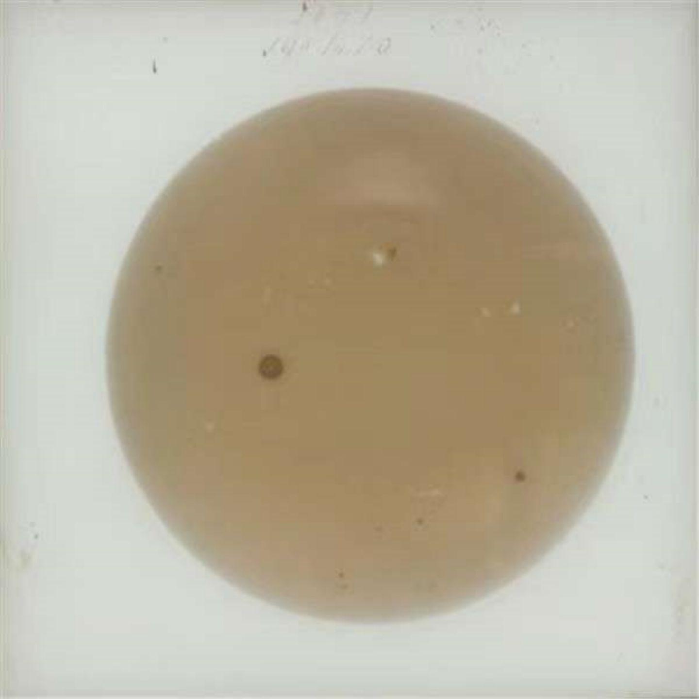 黄土高坡唱娘亲封面