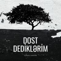 Dost Dediklərim