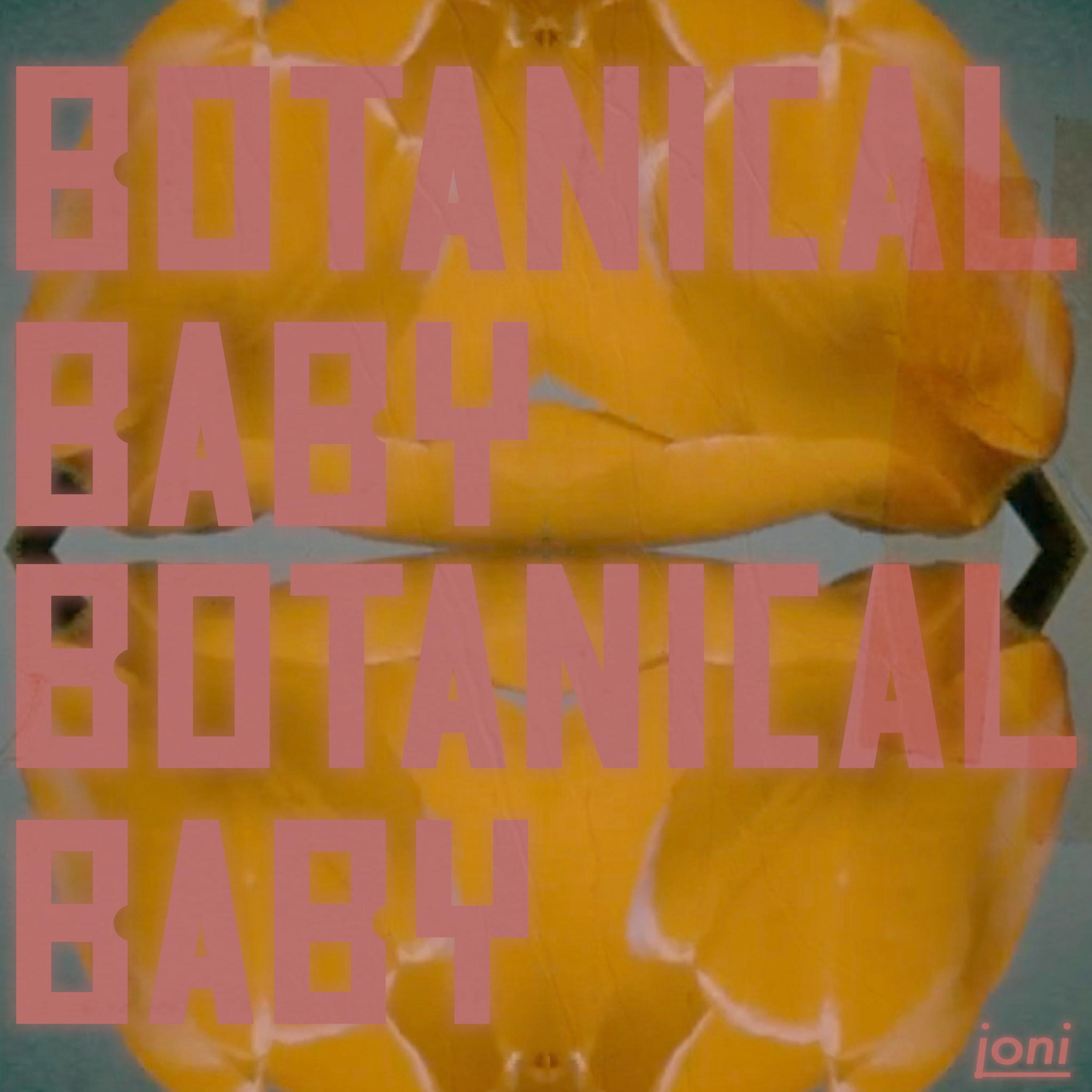 Botanical Baby_Joni_Botanical Baby | 在线播放_Botanical Baby歌词_Botanical Baby下载 | 网易云音乐