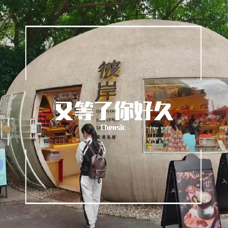 又等了你好久封面