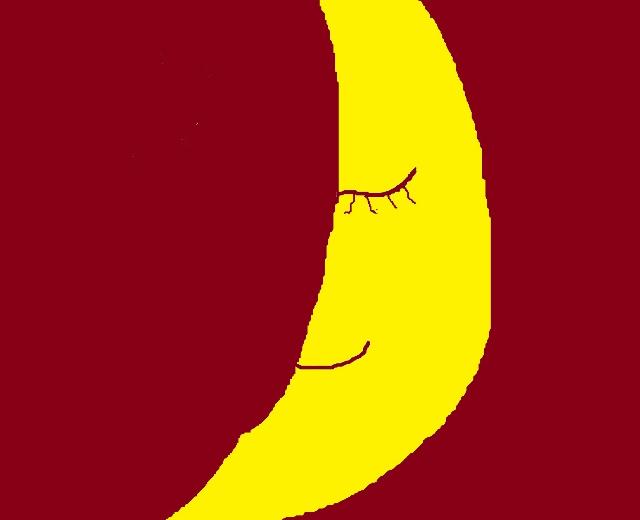 上墙的土豆