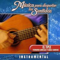 Música para Despertar los Sentidos: el Triple (Instrumental)