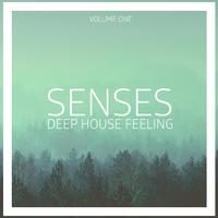 Senses - Deep House Feeling, Vol. 1