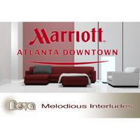 Marriott Atlanta Downtown 