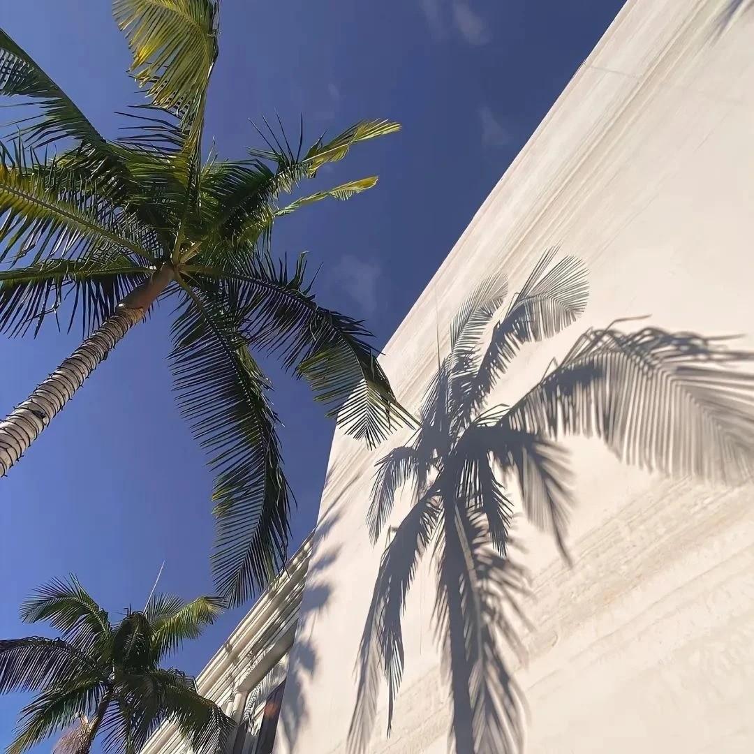数到十 曾沛慈封面