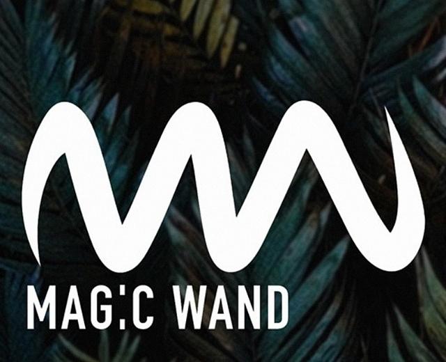 Magic Wand