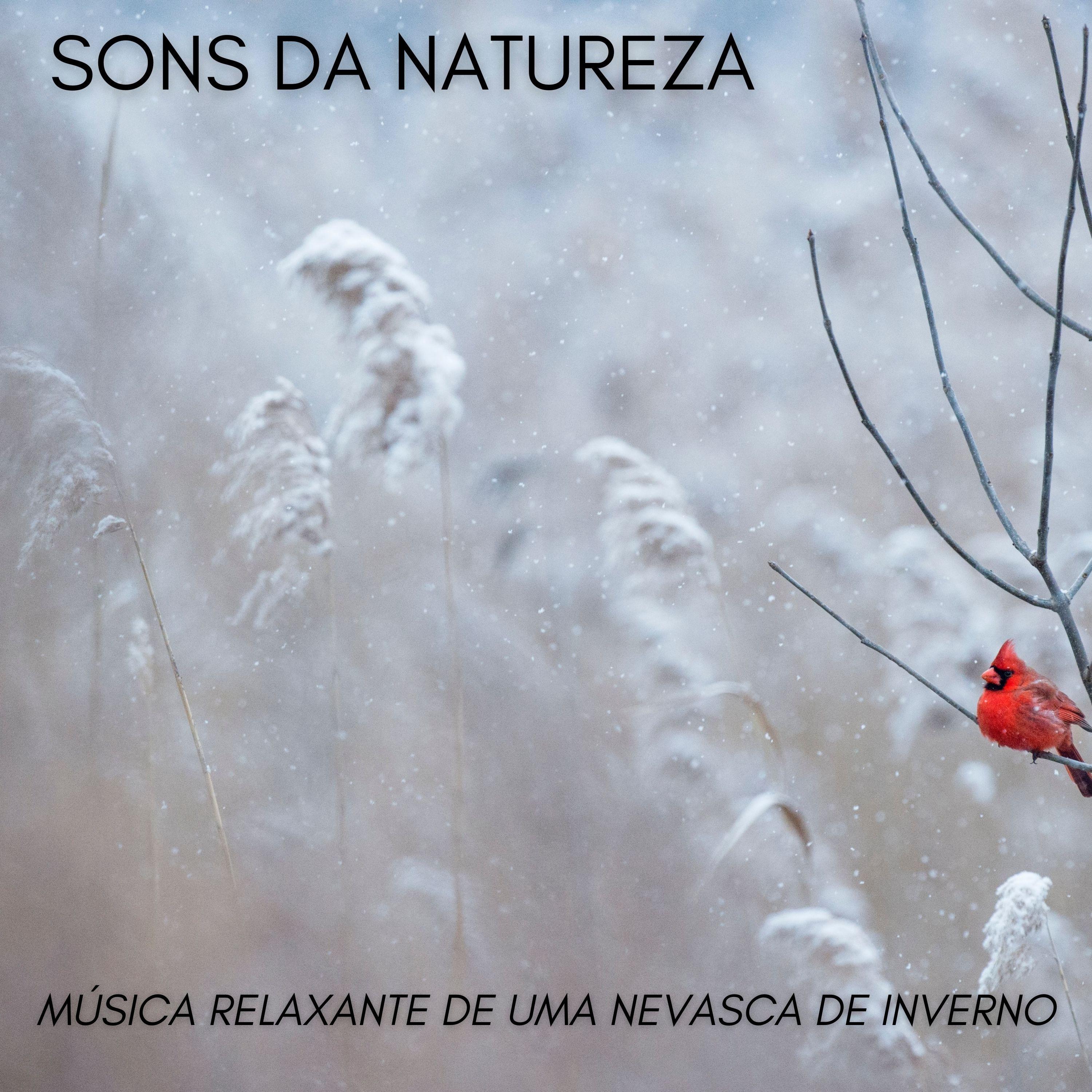 Sons De Gelo E Fogo_#Calmante_Sons Da Natureza: Música Relaxante De Uma Nevasca De Inverno | 在线播放_Sons De Gelo E Fogo歌词_Sons De Gelo E Fogo下载 | 网易云音乐