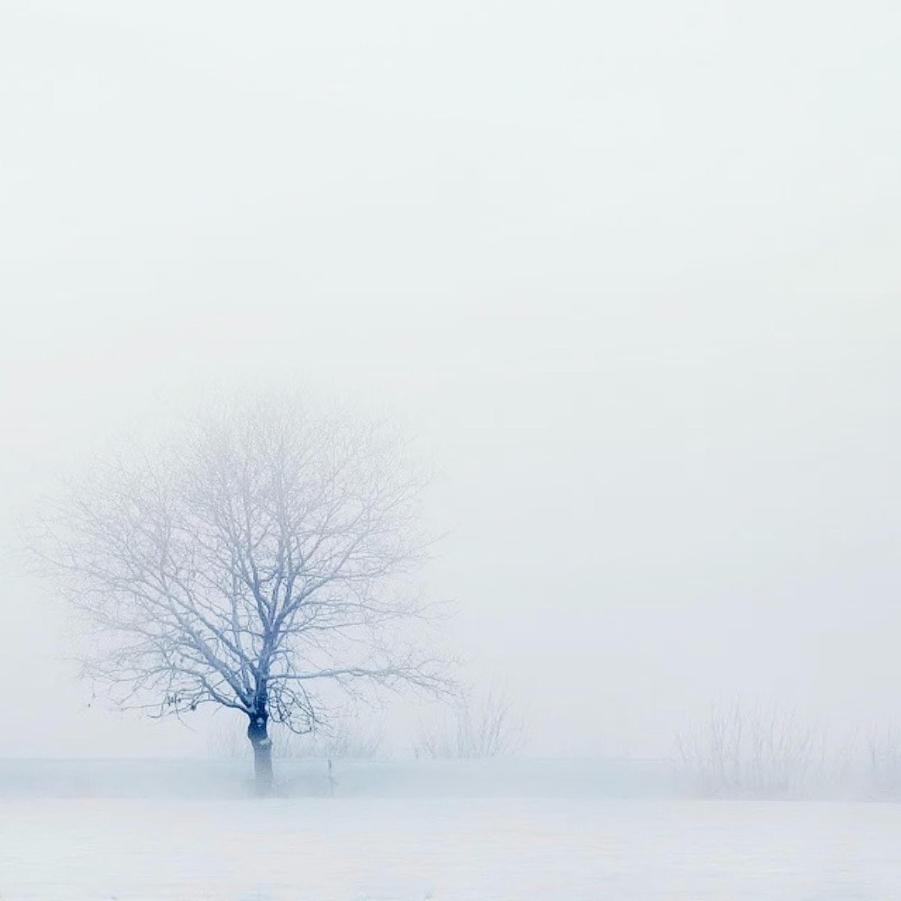 my heart feels like ice