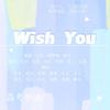可乐阿_ - Wish You【高考应援曲】（翻自 KBShinya）
