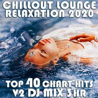 Chill Out Lounge Relaxation 2020 Top 40 Chart Hits, Vol. 1 (Goa Doc 3Hr DJ Mix)