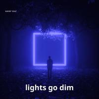 Lights Go Dim