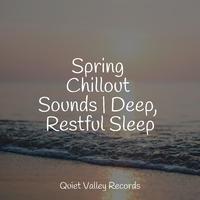 Spring Chillout Sounds | Deep, Restful Sleep