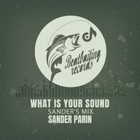 What Is Your Sound (Sander's Mix)