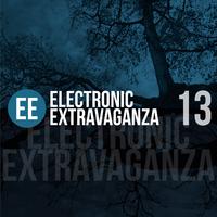 Electronic Extravaganza, Vol. 13