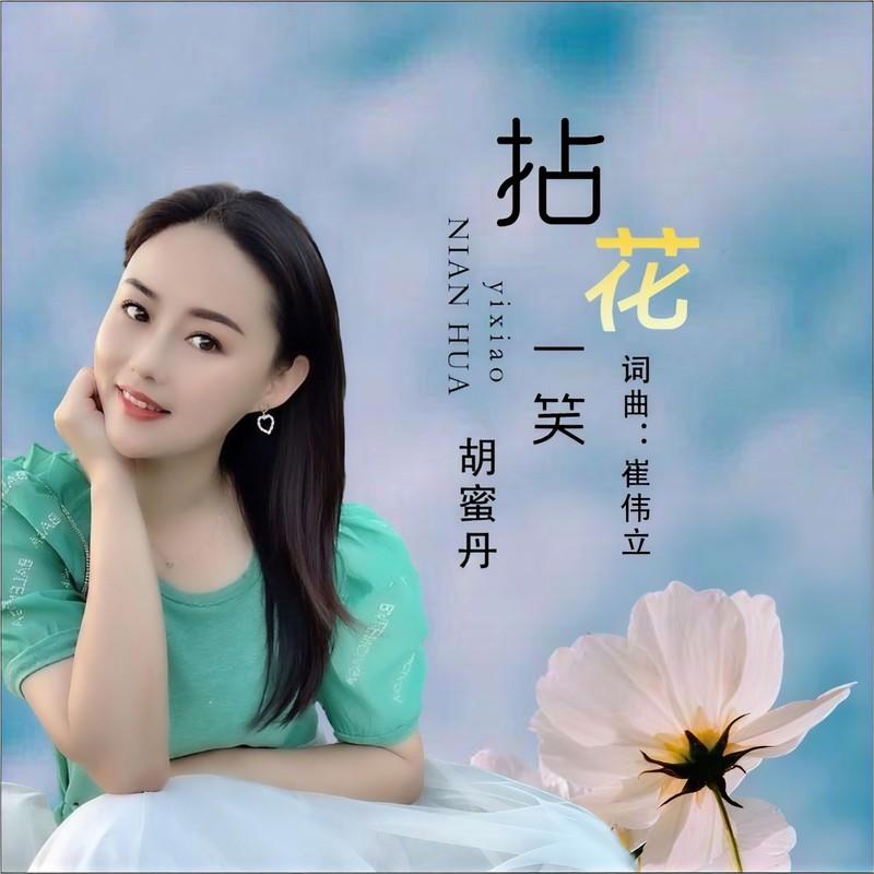 拈花一笑 (DJ沈念版)封面