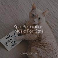 Spa Relaxation Music For Cats