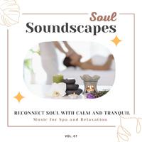 Soul Soundscapes, V07 - Reconnect Soul With Calm And Tranquil Music For Spa And Relaxation