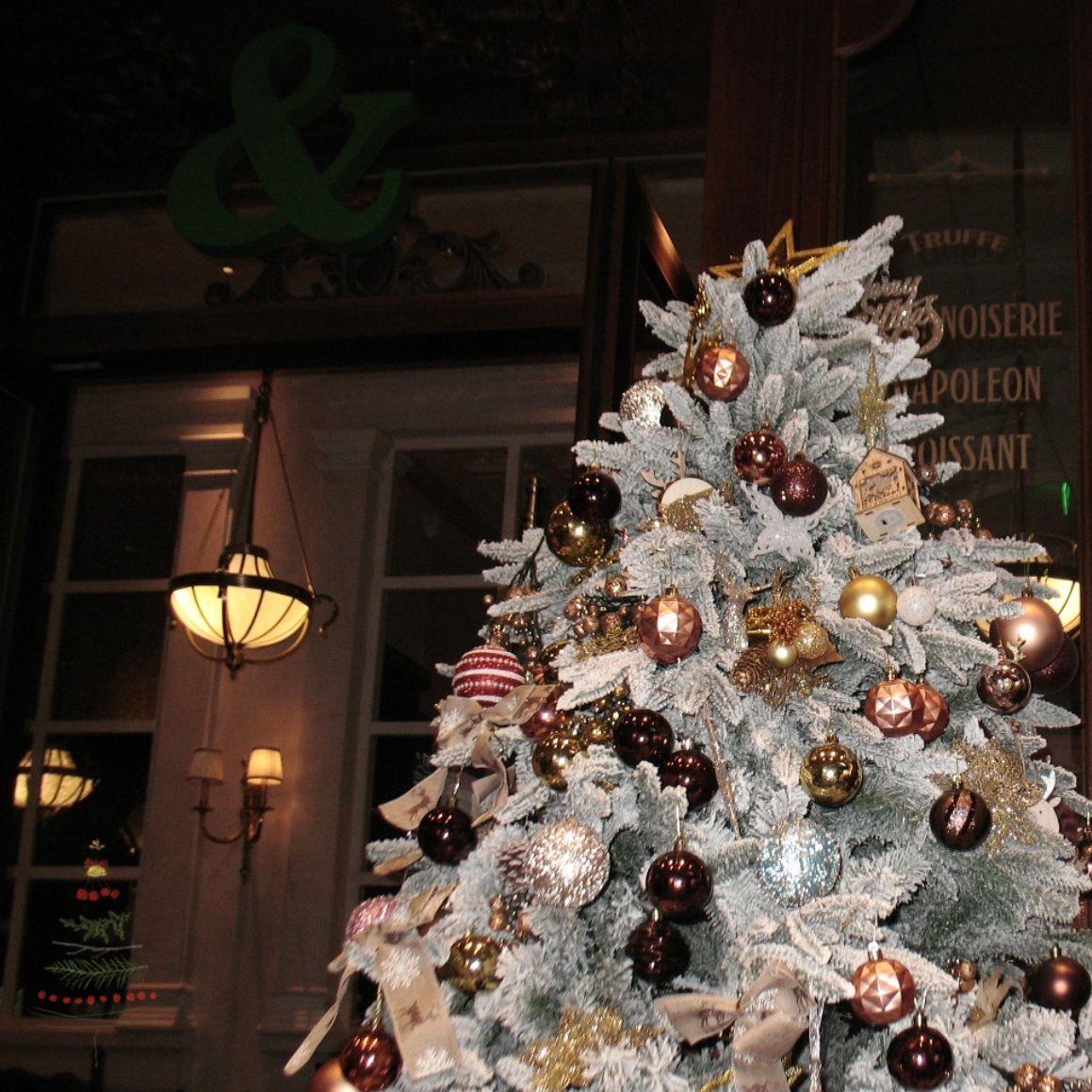 没装饰的圣诞树