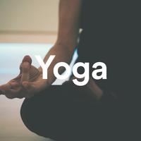 Yoga & Meditation