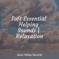 Soft Essential Helping Sounds | Relaxation For Dogs